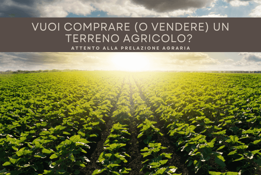 Vuoi comprare (o vendere) un terreno agricolo? Attento alla prelazione agraria Vuoi comprare (o vendere) un terreno agricolo? Attento alla prelazione agraria